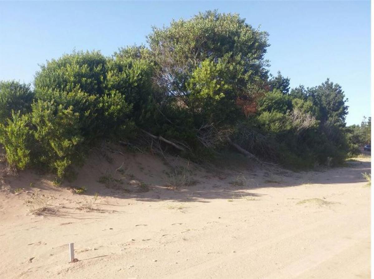 Picture of Residential Land For Sale in Buenos Aires Costa Atlantica, Buenos Aires, Argentina
