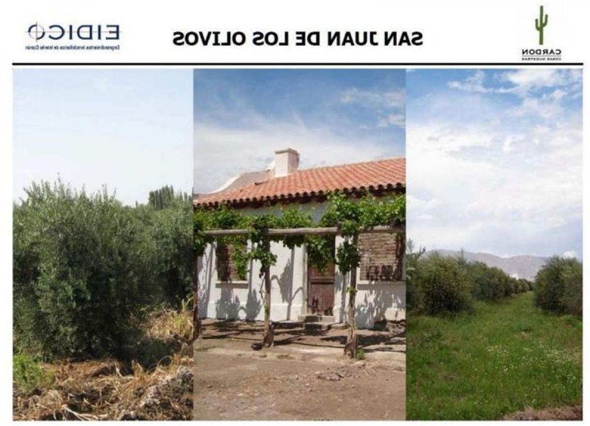 Picture of Residential Land For Sale in San Juan, San Juan, Argentina