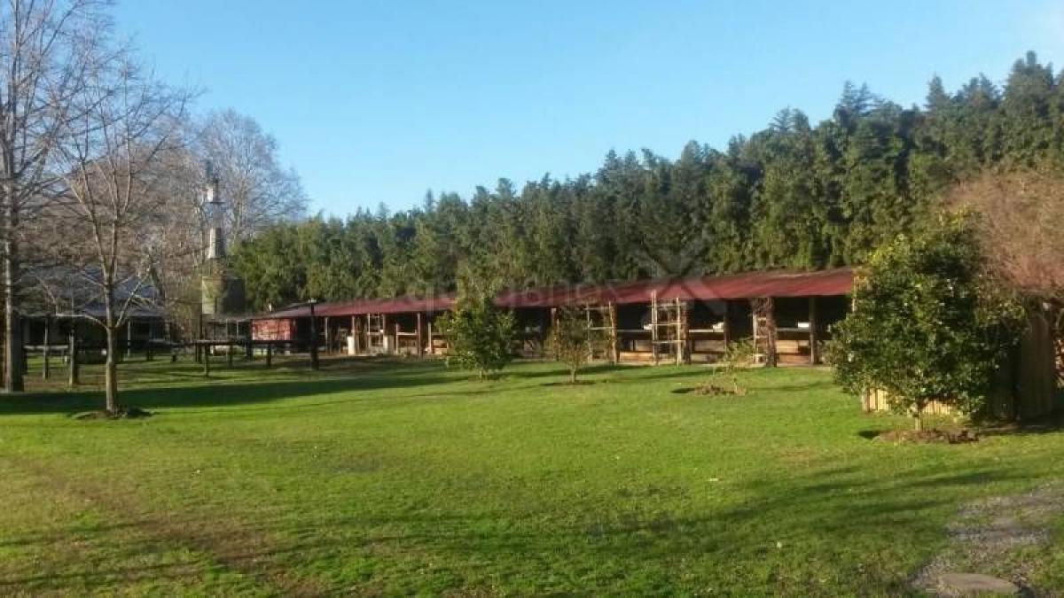 Picture of Farm For Sale in Pilar, Santa Fe, Argentina