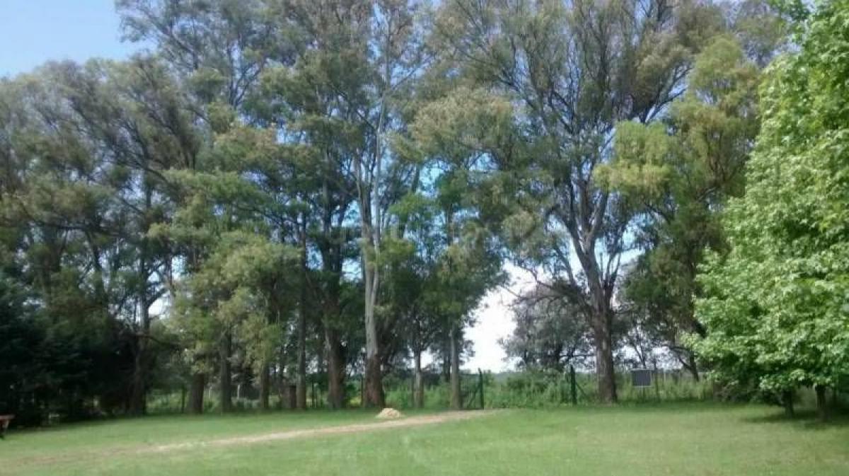 Picture of Farm For Sale in Pilar, Santa Fe, Argentina