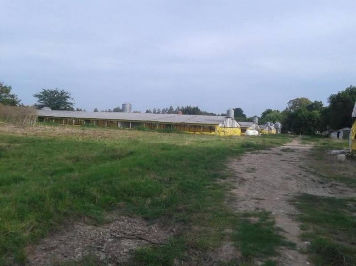 Picture of Home For Sale in Carmen De Areco, Buenos Aires, Argentina