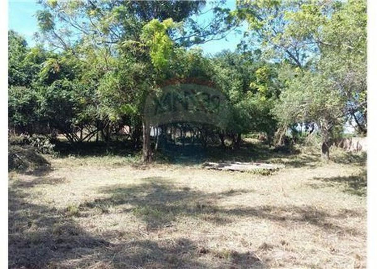 Picture of Residential Land For Sale in Misiones, Misiones, Argentina