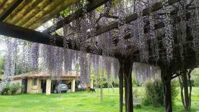 Other Commercial For Sale in Bs.As. G.B.A. Zona Sur, Argentina