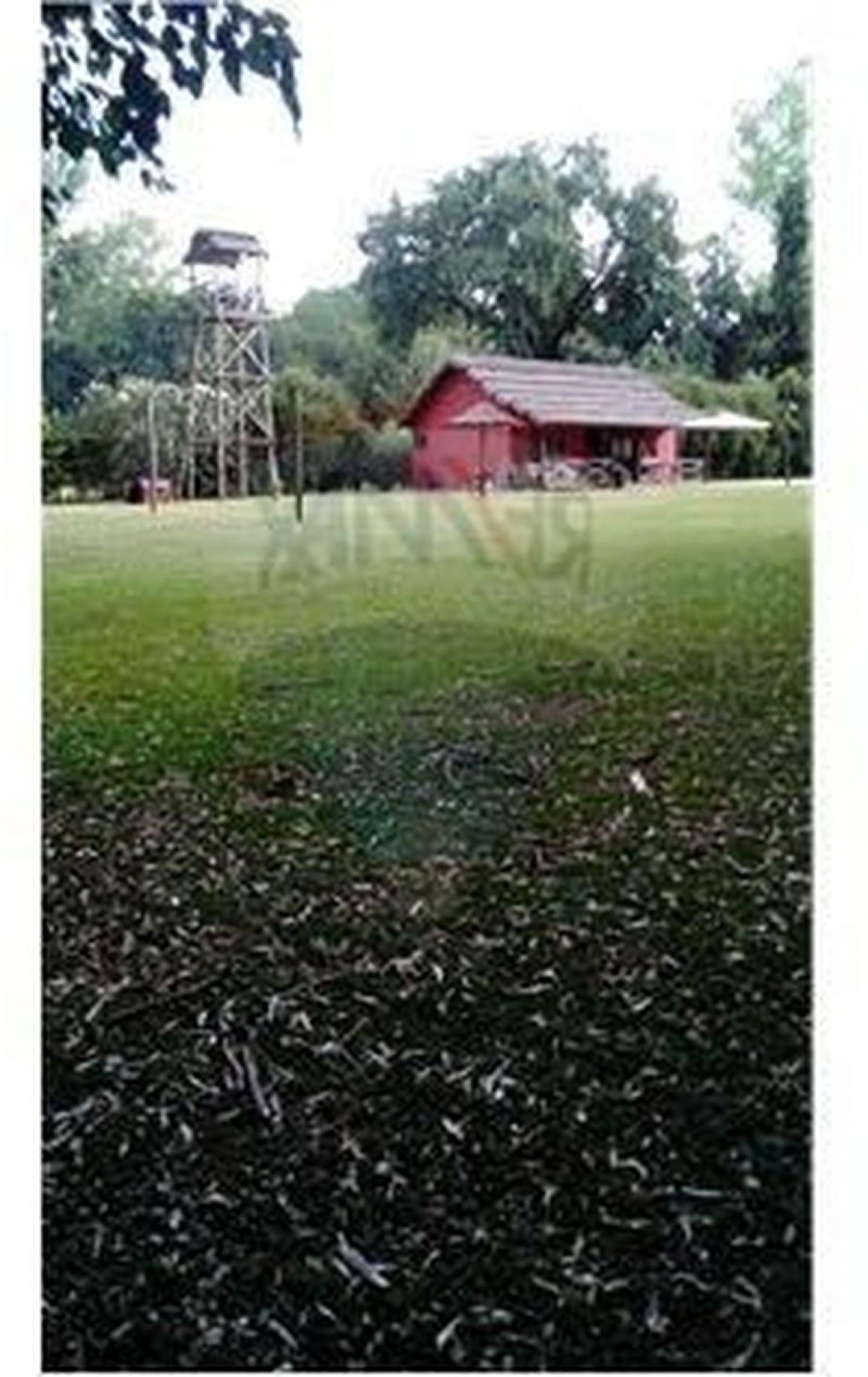 Picture of Farm For Sale in Buenos Aires Interior, Buenos Aires, Argentina