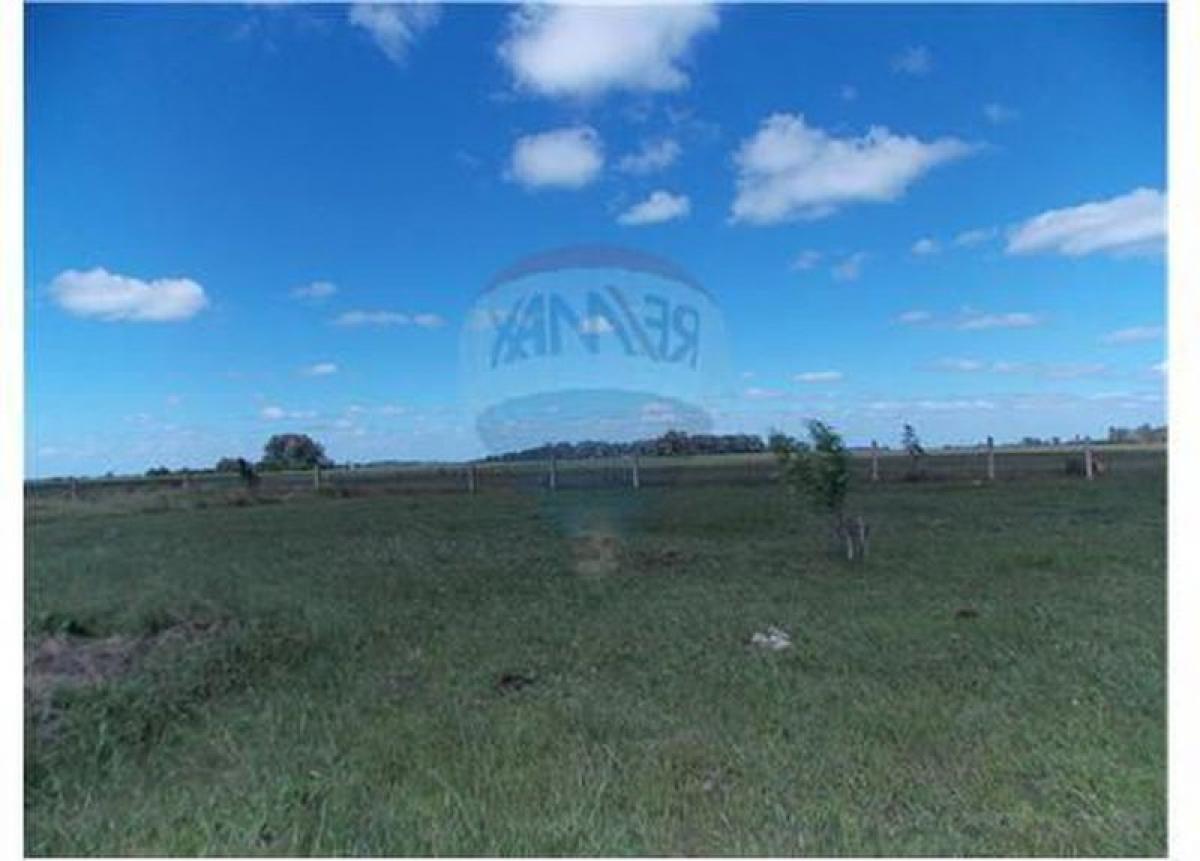 Picture of Residential Land For Sale in Florencio Varela, Buenos Aires, Argentina