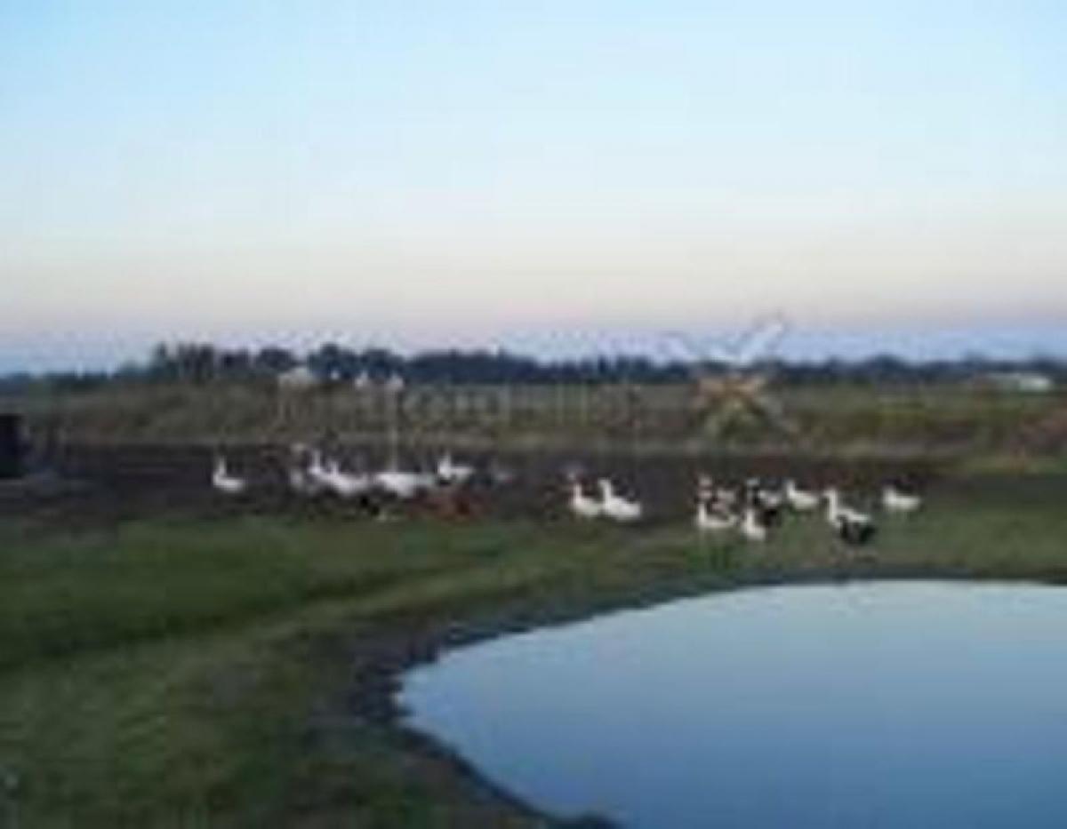 Picture of Farm For Sale in Buenos Aires Interior, Buenos Aires, Argentina