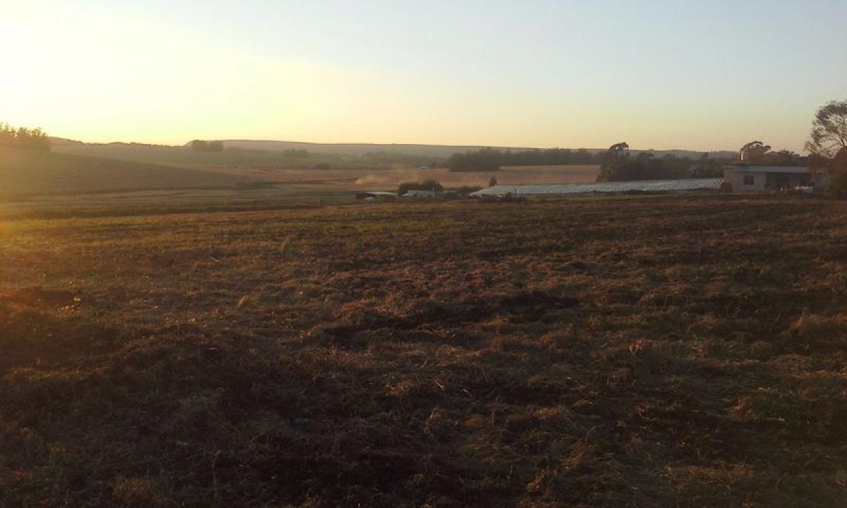 Picture of Residential Land For Sale in General Pueyrredon, Buenos Aires, Argentina