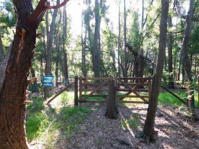 Residential Land For Sale in Chascomus, Argentina