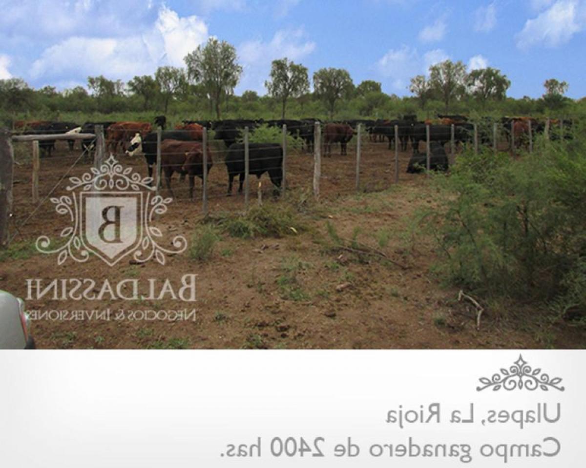 Picture of Home For Sale in La Rioja, La Rioja, Argentina