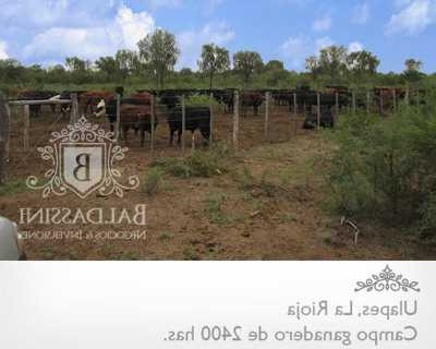 Home For Sale in La Rioja, Argentina