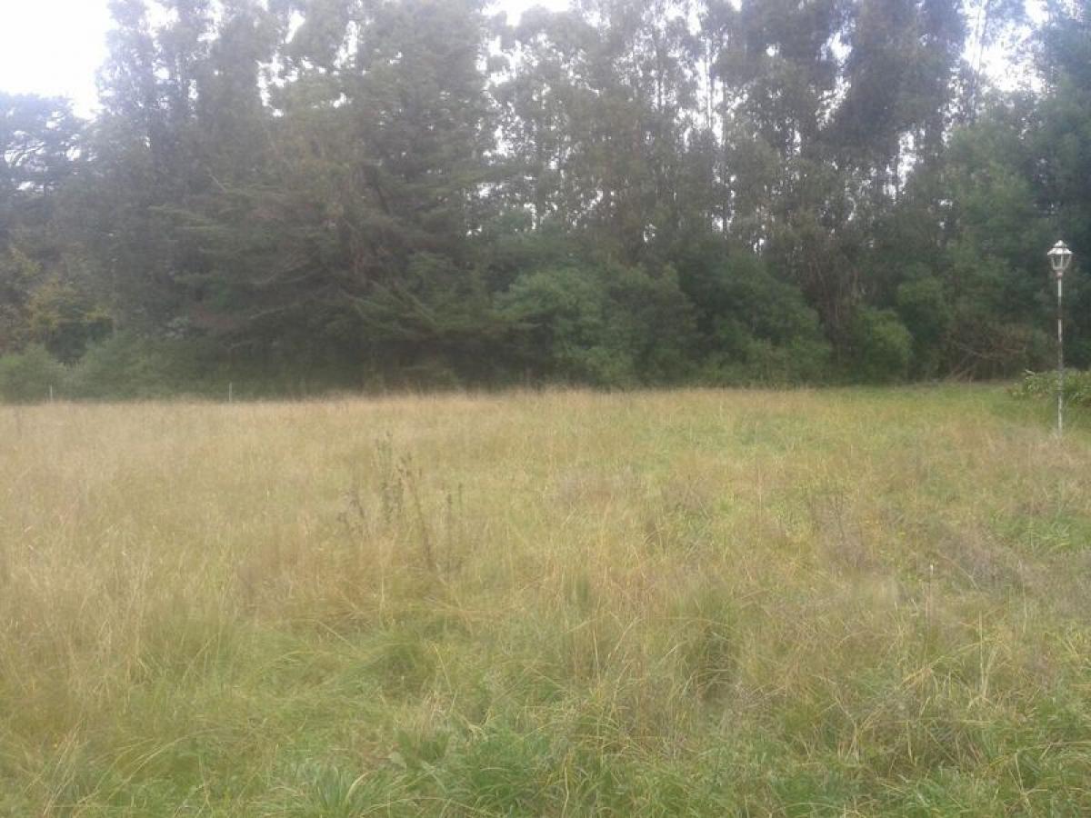 Picture of Residential Land For Sale in General Pueyrredon, Buenos Aires, Argentina