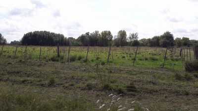 Residential Land For Sale in