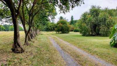 Farm For Sale in Bs.As. G.B.A. Zona Norte, Argentina