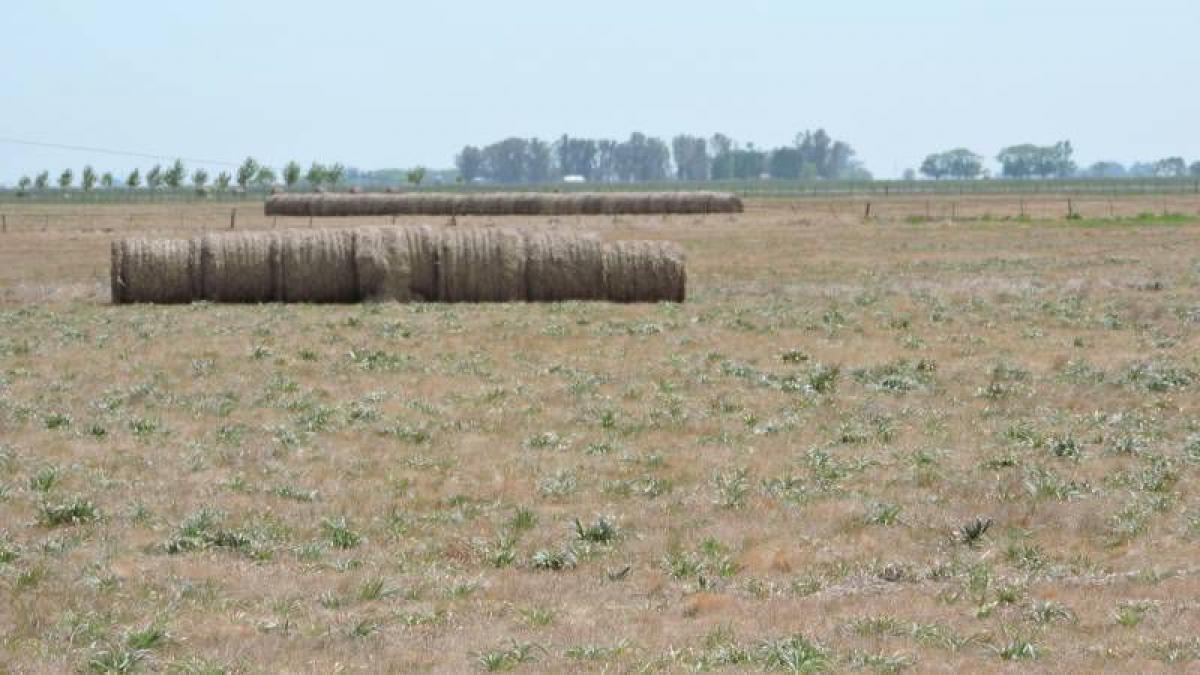Picture of Home For Sale in San Miguel Del Monte, Buenos Aires, Argentina