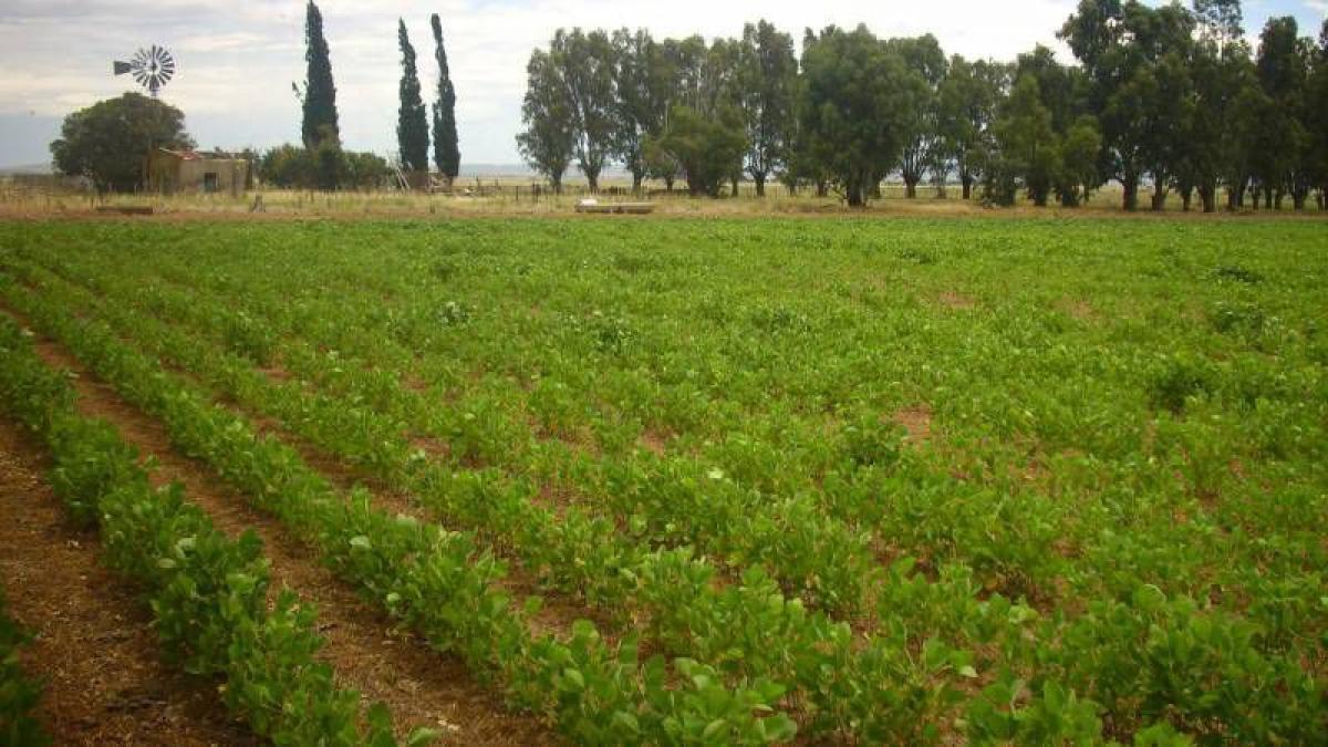 Picture of Home For Sale in Coronel Pringles, Buenos Aires, Argentina