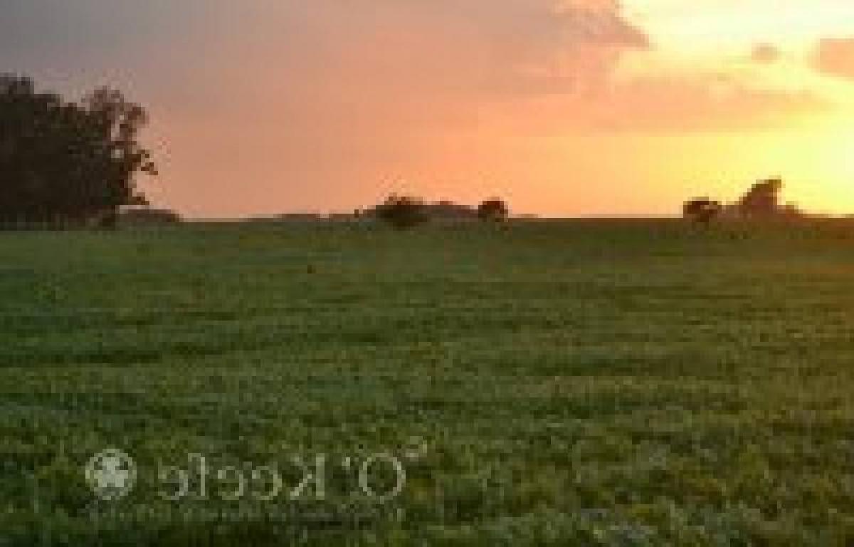 Picture of Home For Sale in Loberia, Buenos Aires, Argentina