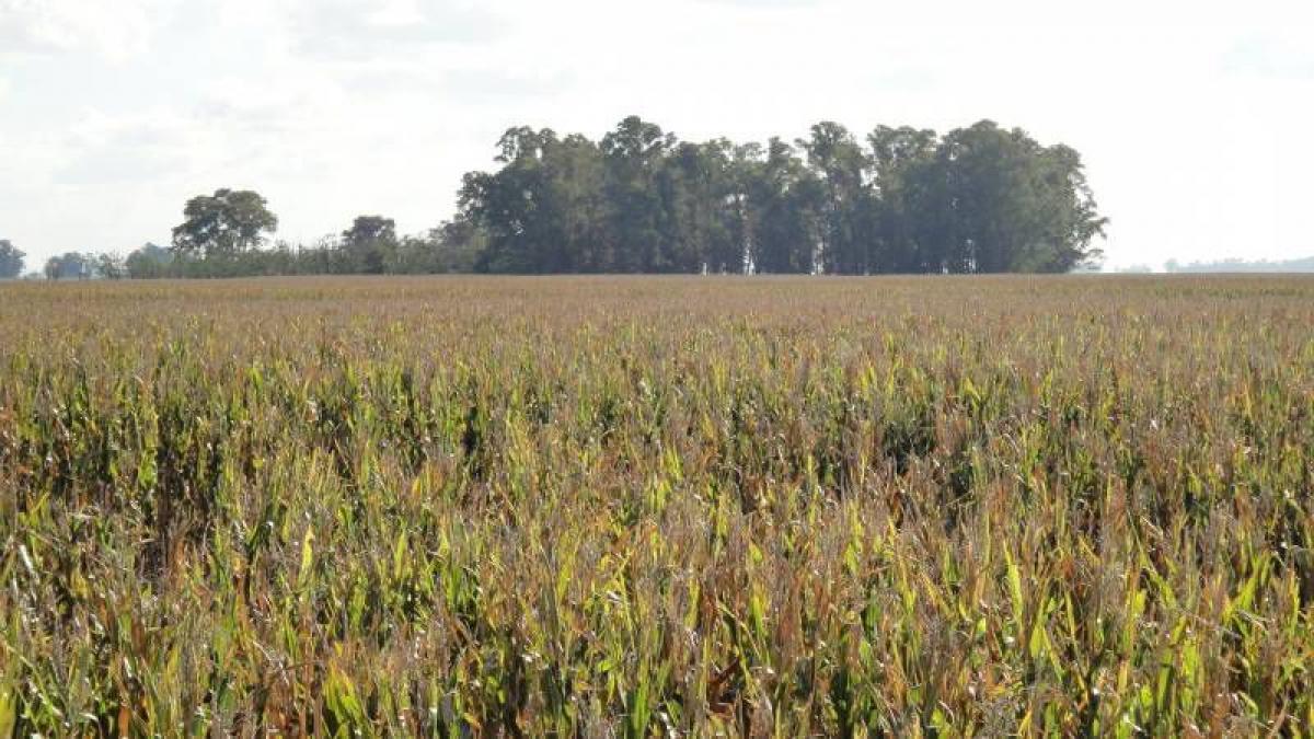 Picture of Home For Sale in Tapalque, Buenos Aires, Argentina