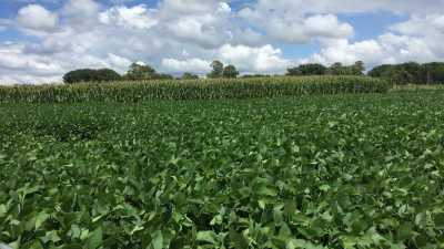 Home For Sale in Bragado, Argentina