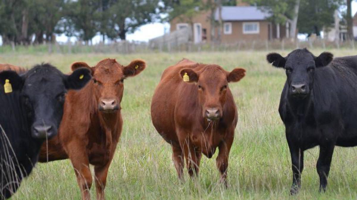 Picture of Home For Sale in Balcarce, Buenos Aires, Argentina