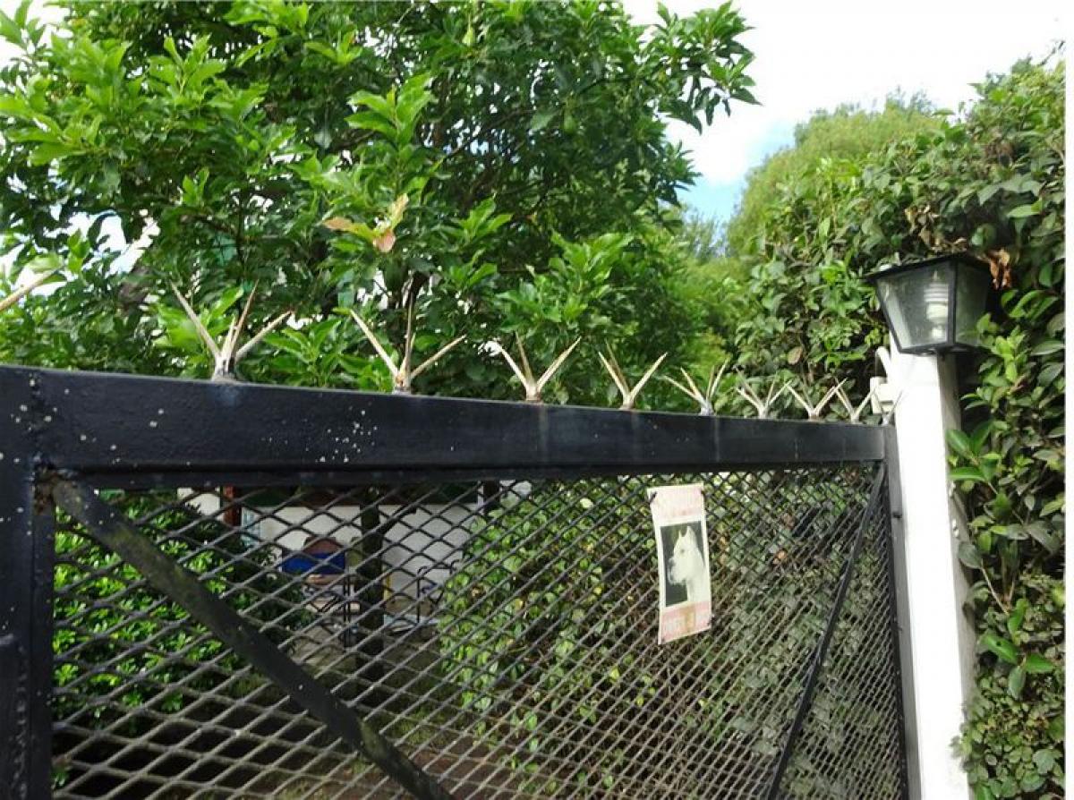 Picture of Farm For Sale in Chascomus, Buenos Aires, Argentina