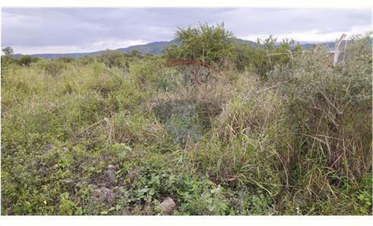Picture of Residential Land For Sale in Salta, Salta, Argentina