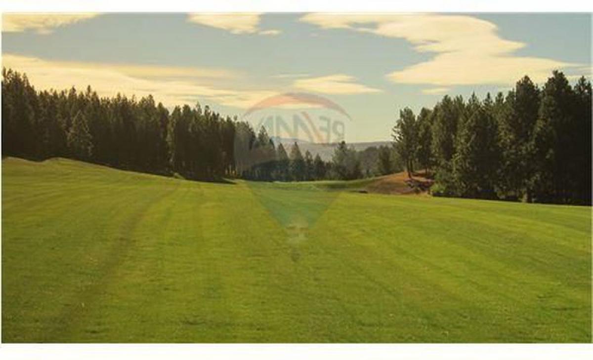Picture of Residential Land For Sale in Neuquen, Neuquen, Argentina
