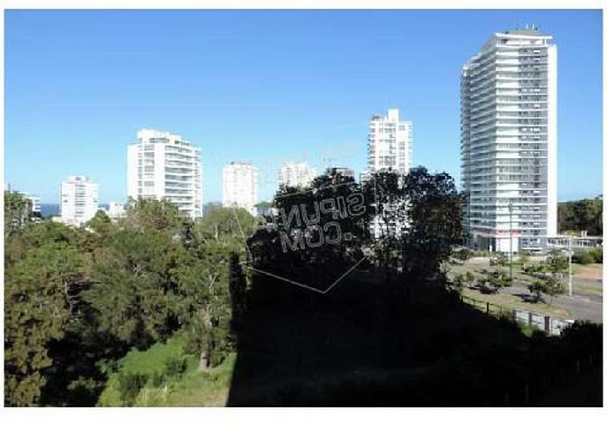 Picture of Apartment For Sale in Rivadavia, Mendoza, Argentina