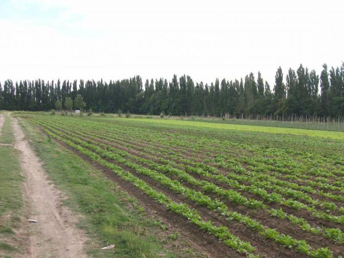 Picture of Home For Sale in Neuquen, Neuquen, Argentina