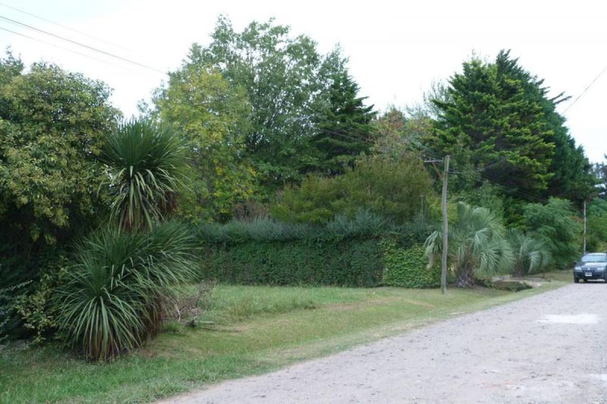 Picture of Residential Land For Sale in Exaltacion De La Cruz, Buenos Aires, Argentina