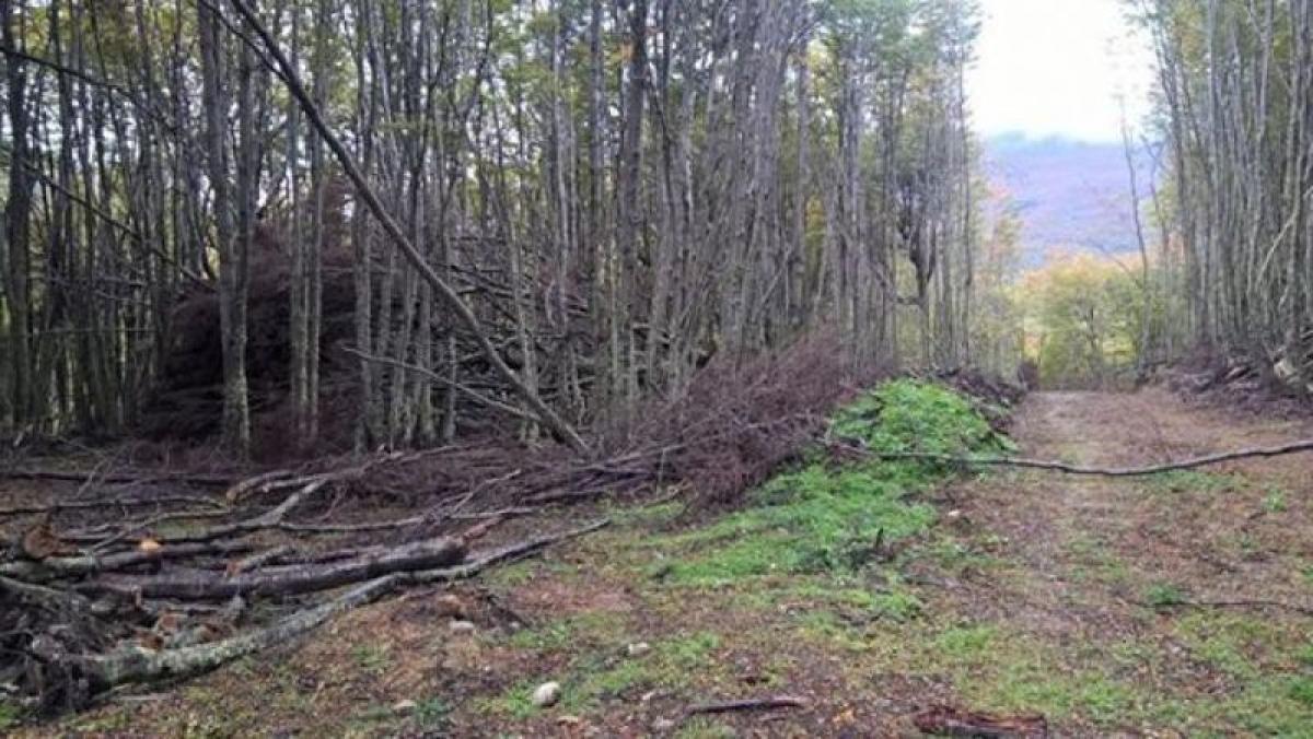 Picture of Residential Land For Sale in Tierra Del Fuego, Tierra del Fuego, Argentina