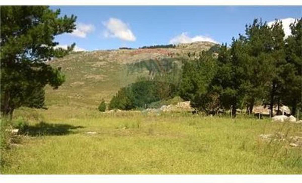 Picture of Residential Land For Sale in Tandil, Buenos Aires, Argentina