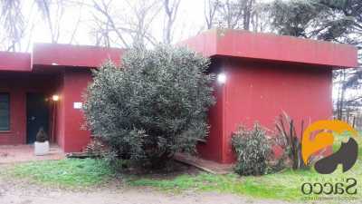 Farm For Sale in Trenque Lauquen, Argentina