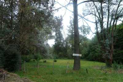 Residential Land For Sale in Exaltacion De La Cruz, Argentina