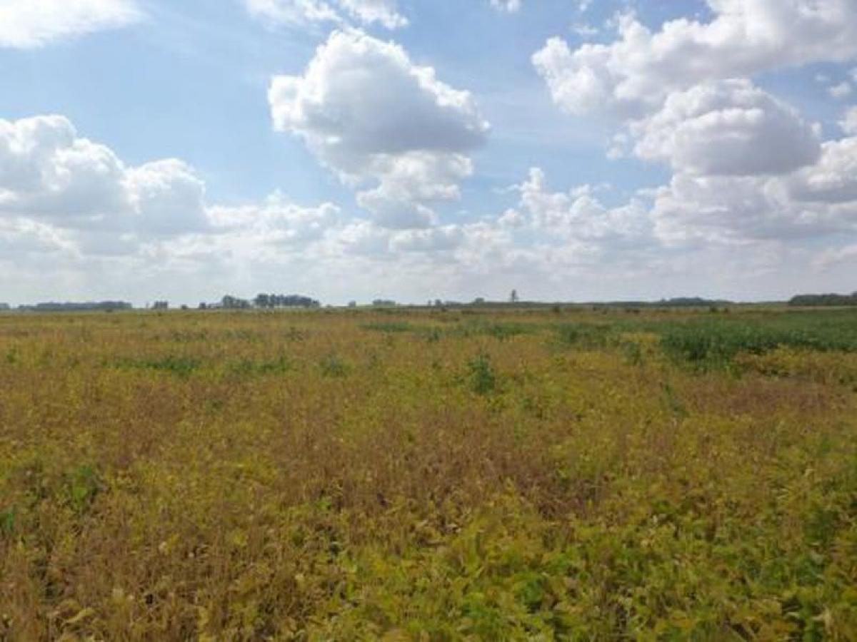 Picture of Home For Sale in Arrecifes, Buenos Aires, Argentina