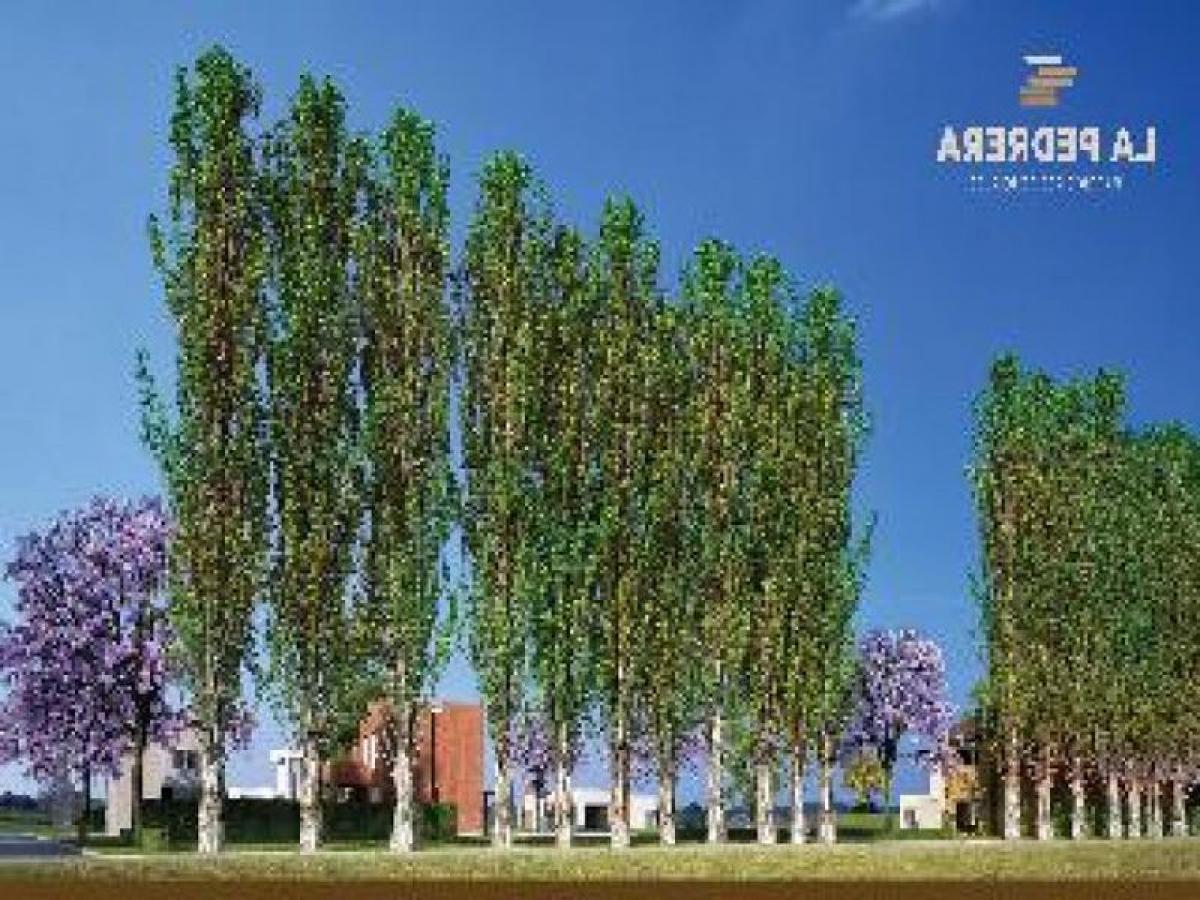 Picture of Residential Land For Sale in Santa Fe, Santa Fe, Argentina