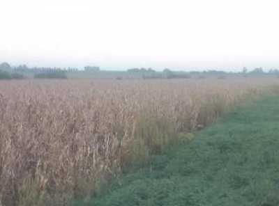 Home For Sale in Santa Fe, Argentina