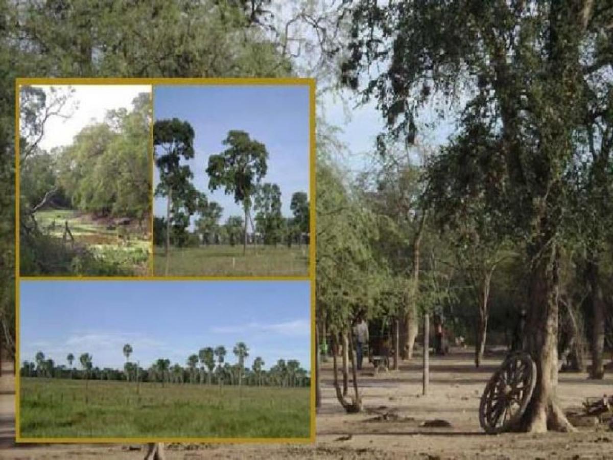 Picture of Home For Sale in Formosa, Formosa, Argentina