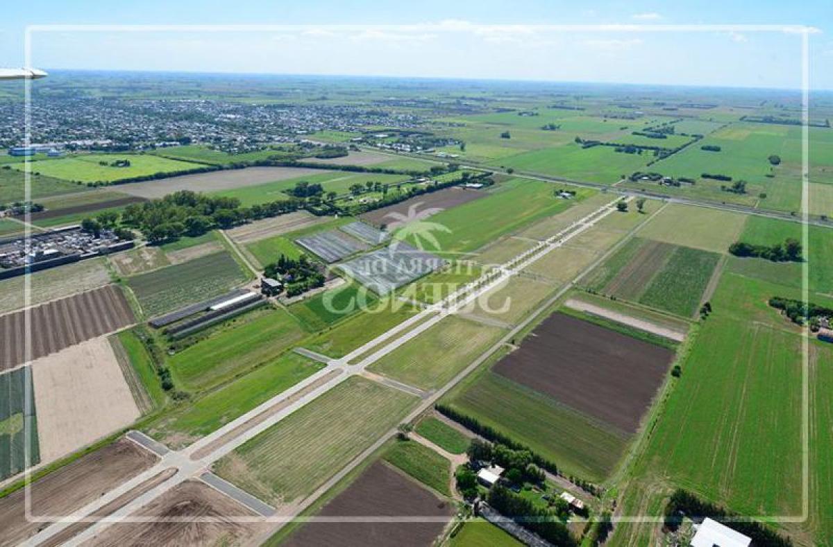 Picture of Farm For Sale in Santa Fe, Santa Fe, Argentina