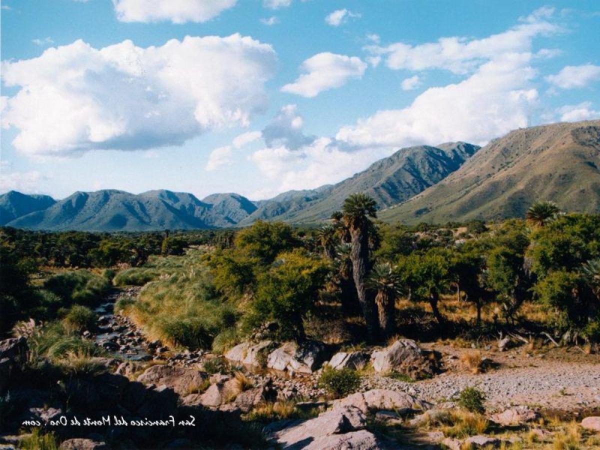 Picture of Other Commercial For Sale in San Luis, San Luis, Argentina