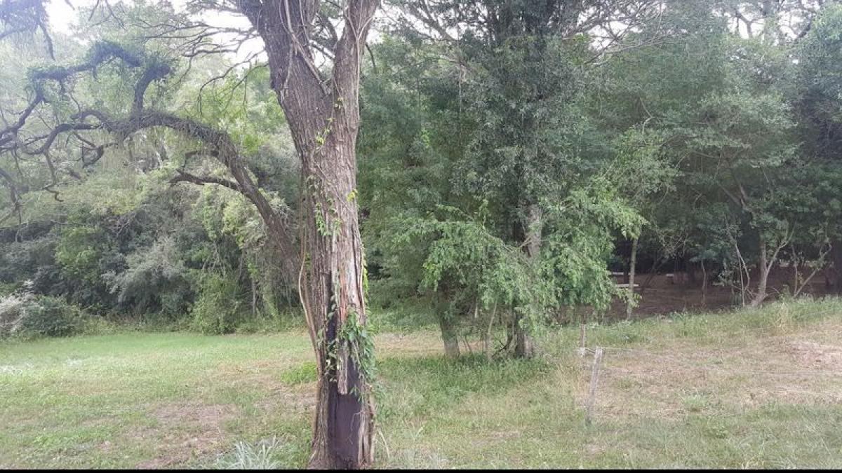 Picture of Residential Land For Sale in Chaco, Chaco, Argentina