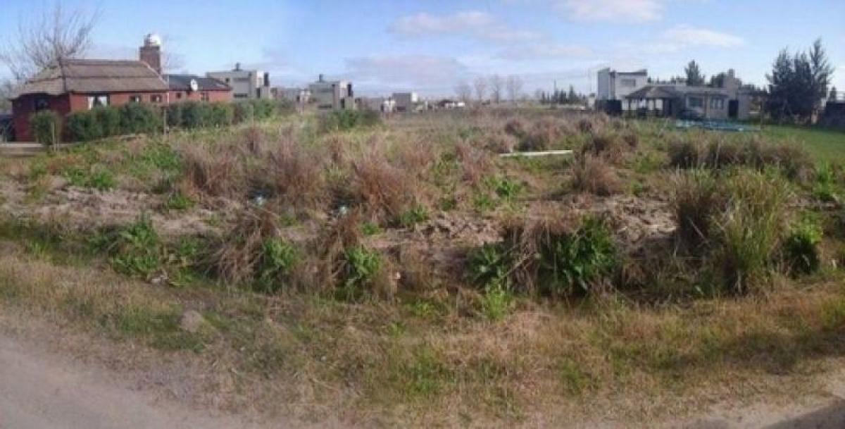 Picture of Other Commercial For Sale in Bs.As. G.B.A. Zona Sur, Buenos Aires, Argentina