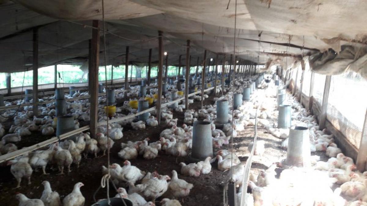 Picture of Other Commercial For Sale in Buenos Aires Interior, Buenos Aires, Argentina