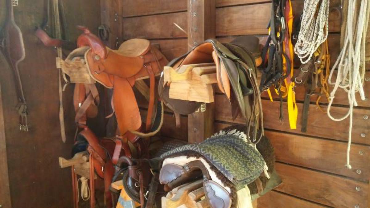 Picture of Home For Sale in Brandsen, Buenos Aires, Argentina