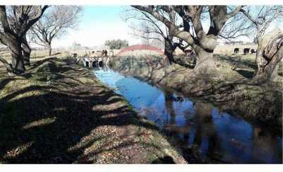 Residential Land For Sale in Tandil, Argentina