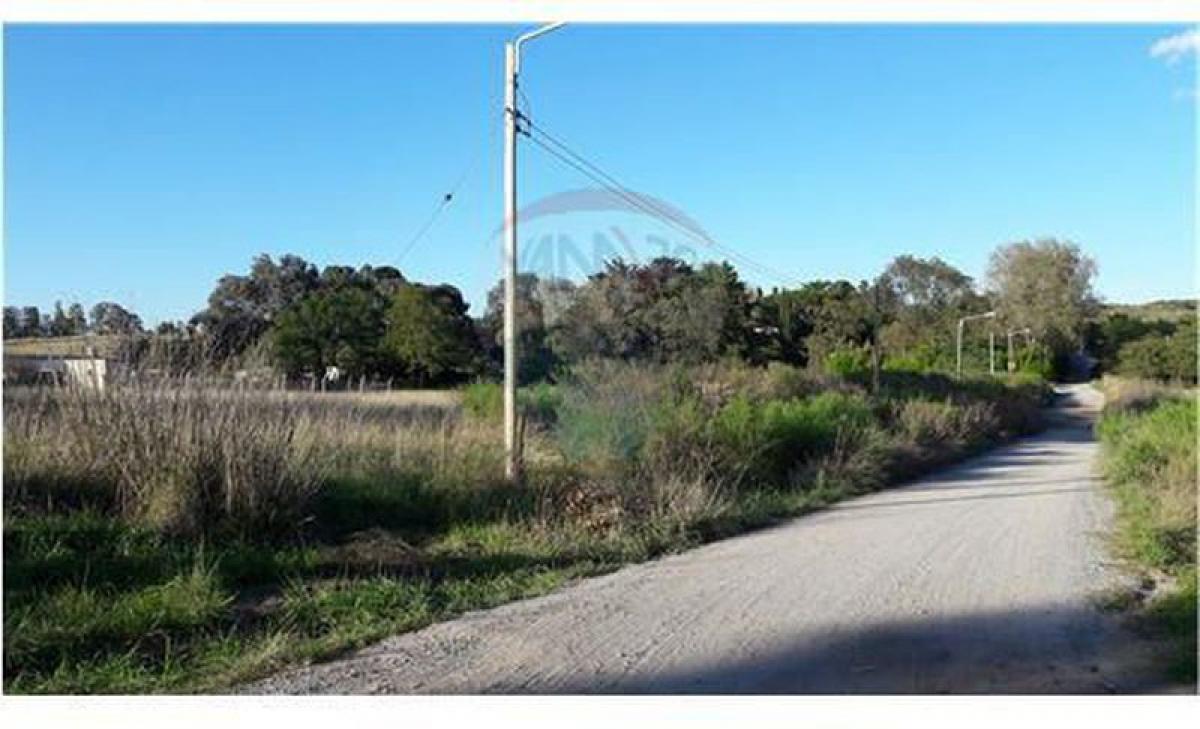 Picture of Residential Land For Sale in Tandil, Buenos Aires, Argentina