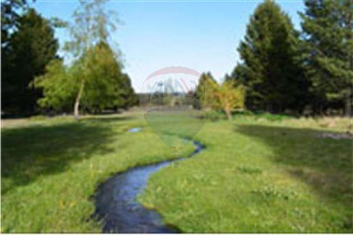 Picture of Residential Land For Sale in Neuquen, Neuquen, Argentina