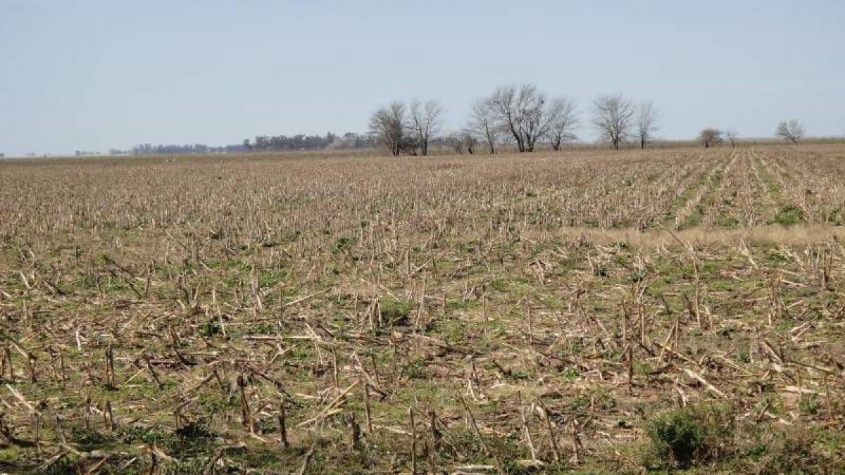 Picture of Home For Sale in Dolores, Buenos Aires, Argentina