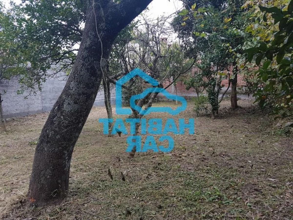 Picture of Home For Sale in Jujuy, Jujuy, Argentina