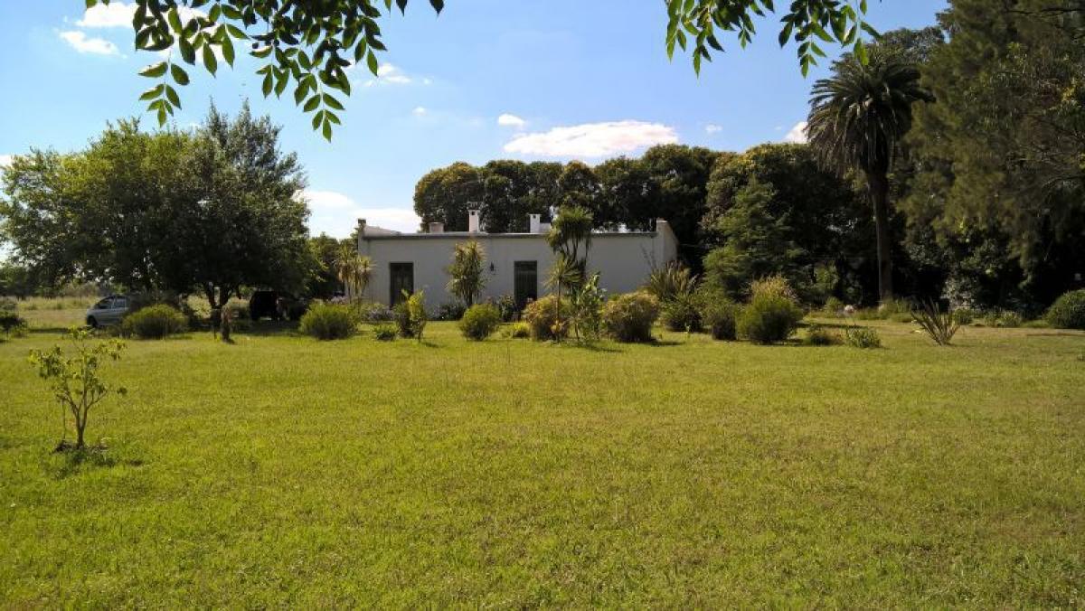 Picture of Farm For Sale in La Plata, Buenos Aires, Argentina