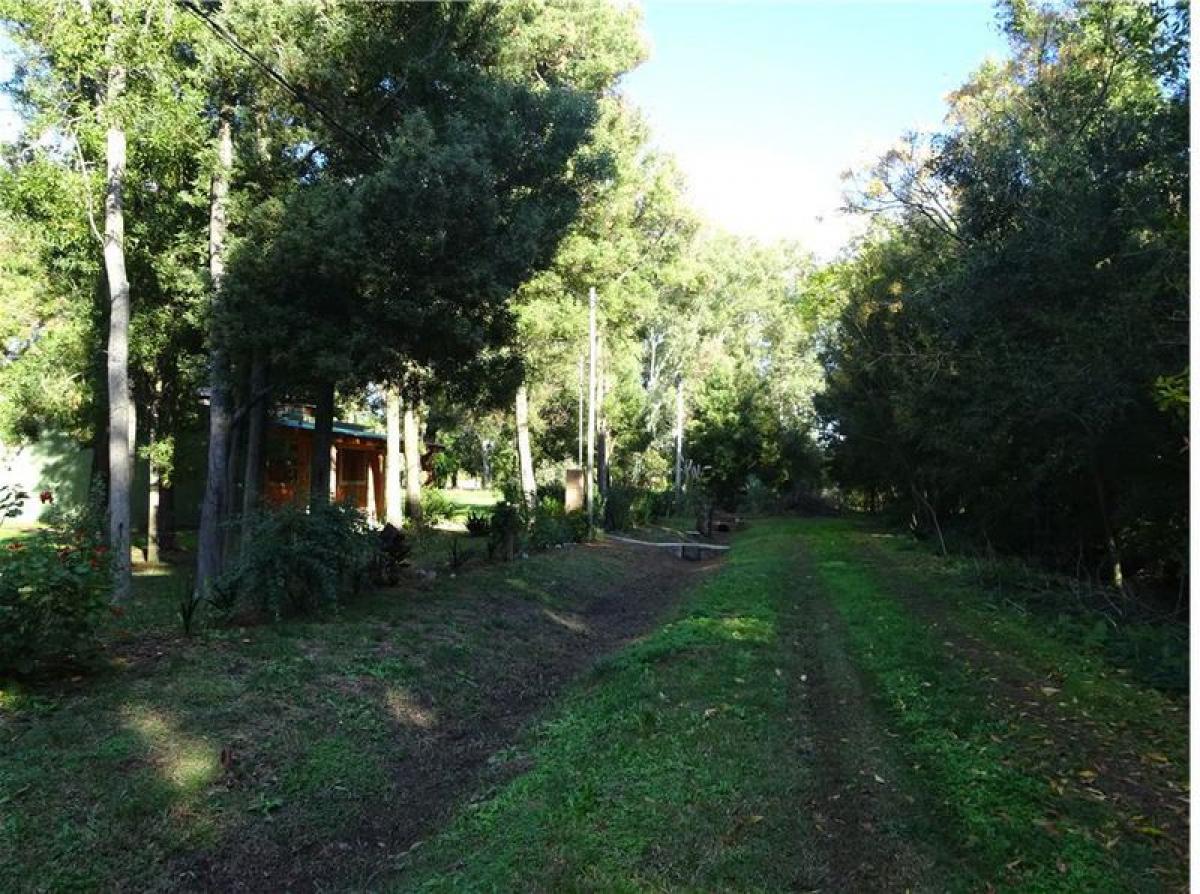 Picture of Residential Land For Sale in Chascomus, Buenos Aires, Argentina